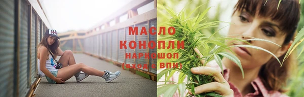 тгк Алексин