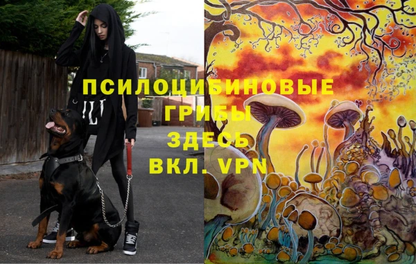 ALPHA PVP Алзамай