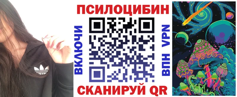 Псилоцибиновые грибы Psilocybine cubensis  Хвалынск 